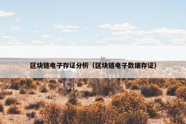 区块链电子存证分析（区块链电子数据存证）