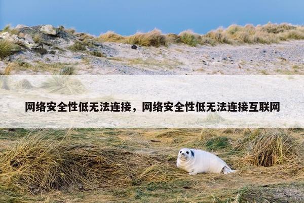 网络安全性低无法连接，网络安全性低无法连接互联网