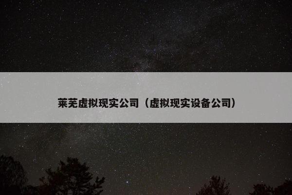 莱芜虚拟现实公司（虚拟现实设备公司）