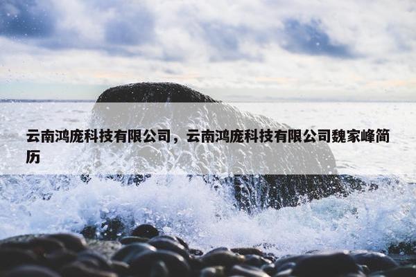 云南鸿庞科技有限公司，云南鸿庞科技有限公司魏家峰简历