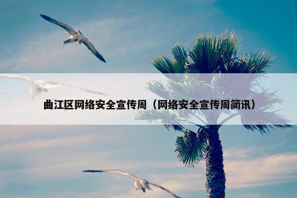 曲江区网络安全宣传周（网络安全宣传周简讯）