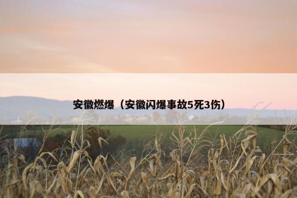 安徽燃爆（安徽闪爆事故5死3伤）