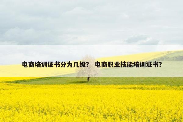 电商培训证书分为几级？ 电商职业技能培训证书？