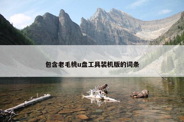 包含老毛桃u盘工具装机版的词条