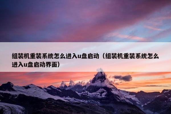 组装机重装系统怎么进入u盘启动（组装机重装系统怎么进入u盘启动界面）