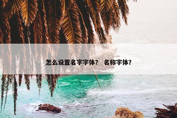 怎么设置名字字体？ 名称字体？