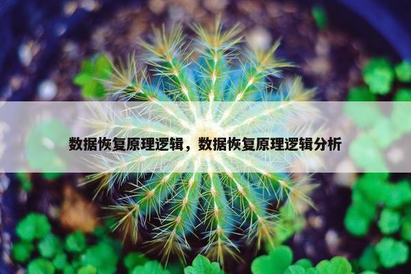 数据恢复原理逻辑，数据恢复原理逻辑分析
