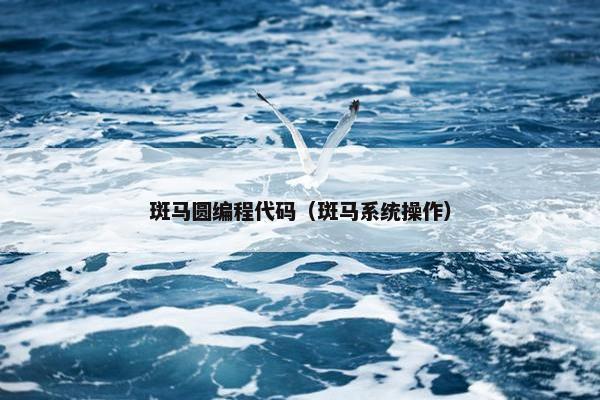 斑马圆编程代码（斑马系统操作）