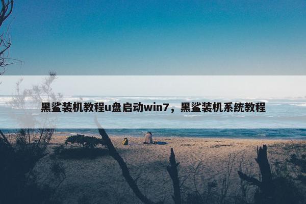 黑鲨装机教程u盘启动win7，黑鲨装机系统教程