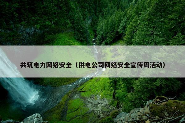 共筑电力网络安全（供电公司网络安全宣传周活动）