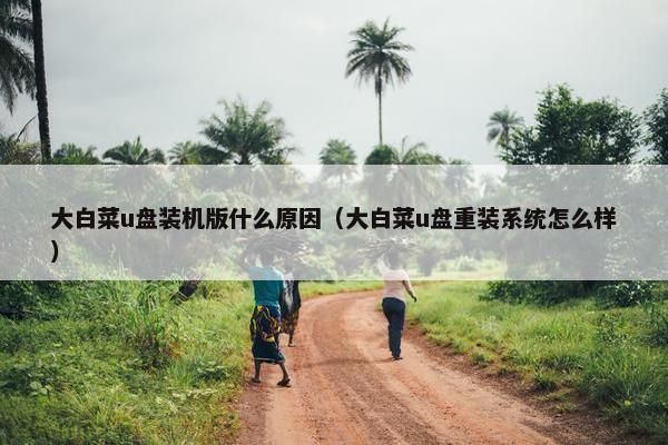 大白菜u盘装机版什么原因（大白菜u盘重装系统怎么样）
