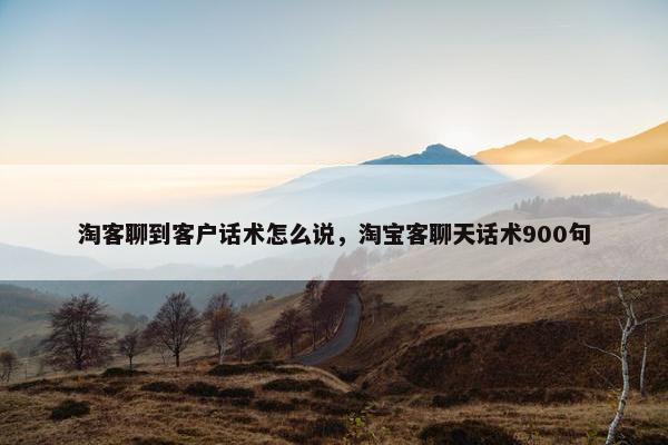 淘客聊到客户话术怎么说，淘宝客聊天话术900句