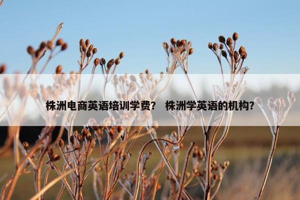株洲电商英语培训学费？ 株洲学英语的机构？