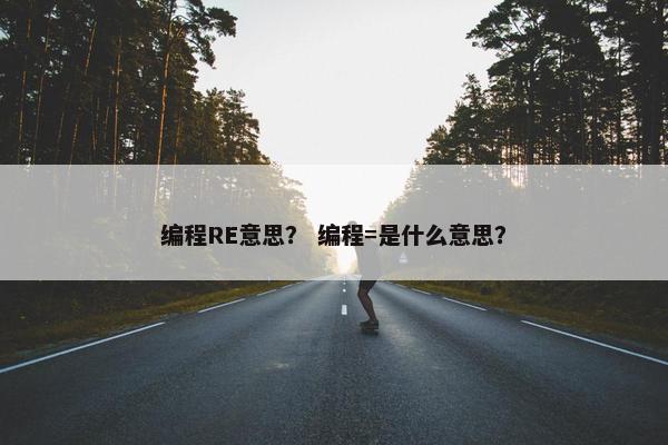 编程RE意思？ 编程=是什么意思？
