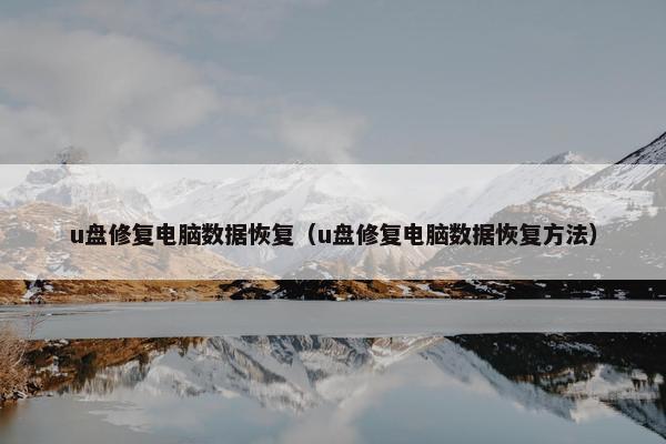 u盘修复电脑数据恢复（u盘修复电脑数据恢复方法）