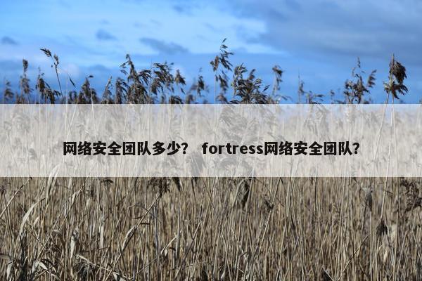 网络安全团队多少？ fortress网络安全团队？
