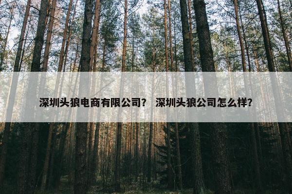 深圳头狼电商有限公司？ 深圳头狼公司怎么样？