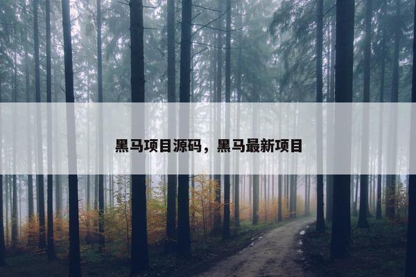 黑马项目源码，黑马最新项目