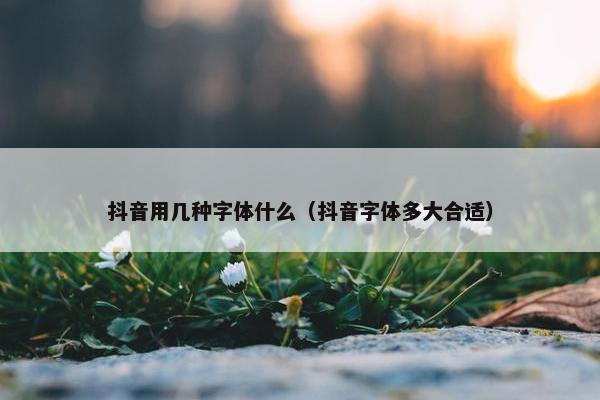 抖音用几种字体什么（抖音字体多大合适）
