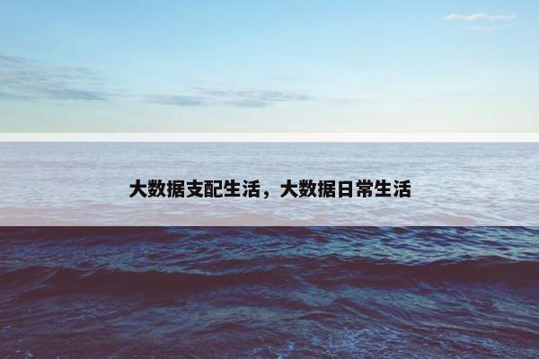 大数据支配生活，大数据日常生活