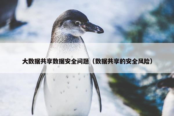 大数据共享数据安全问题（数据共享的安全风险）