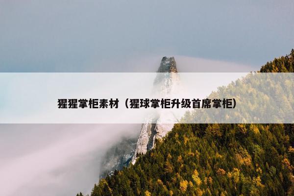 猩猩掌柜素材（猩球掌柜升级首席掌柜）