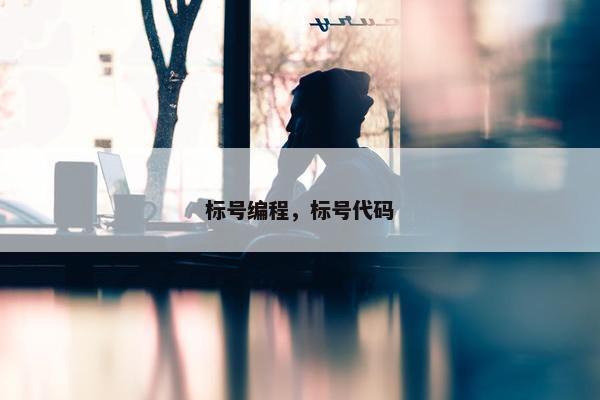标号编程，标号代码