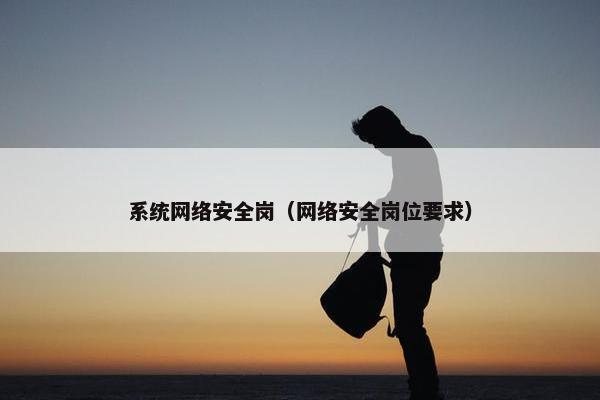 系统网络安全岗（网络安全岗位要求）