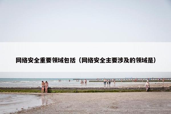 网络安全重要领域包括（网络安全主要涉及的领域是）