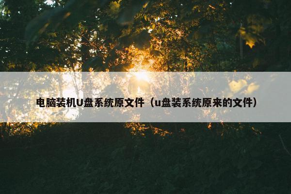 电脑装机U盘系统原文件（u盘装系统原来的文件）