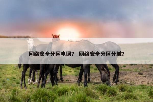 网络安全分区电网？ 网络安全分区分域？