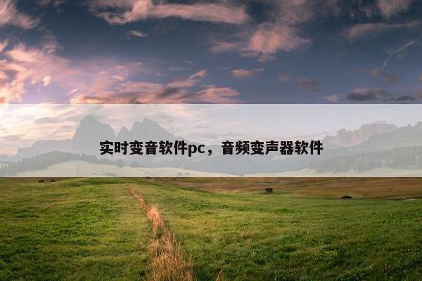 实时变音软件pc，音频变声器软件