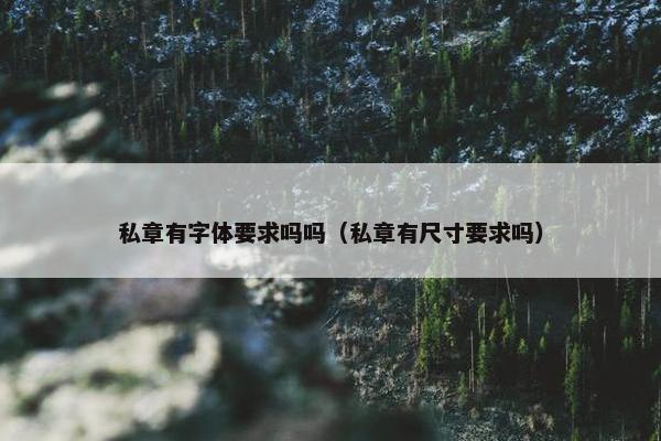 私章有字体要求吗吗（私章有尺寸要求吗）