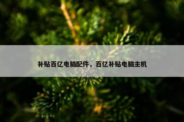 补贴百亿电脑配件，百亿补贴电脑主机