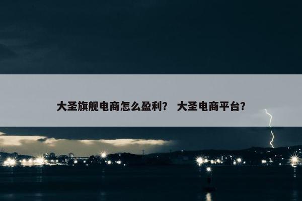 大圣旗舰电商怎么盈利？ 大圣电商平台？