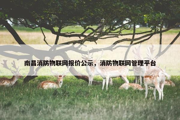 南昌消防物联网报价公示，消防物联网管理平台