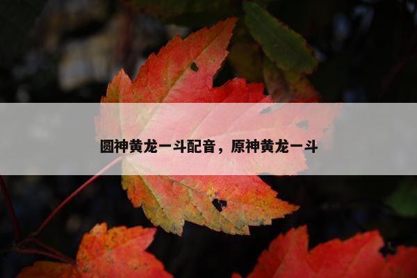 圆神黄龙一斗配音，原神黄龙一斗
