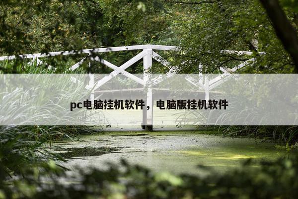 pc电脑挂机软件，电脑版挂机软件