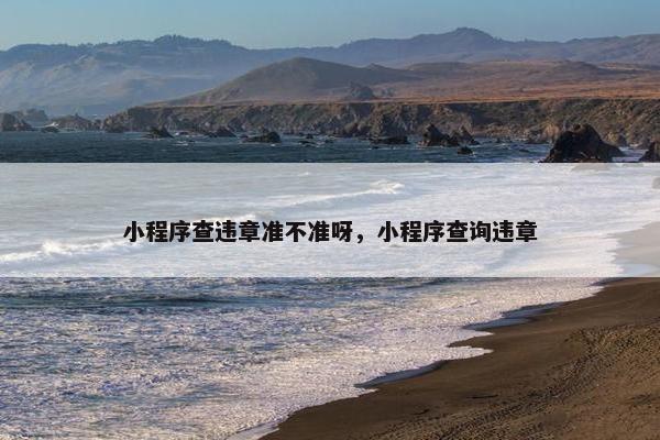 小程序查违章准不准呀，小程序查询违章