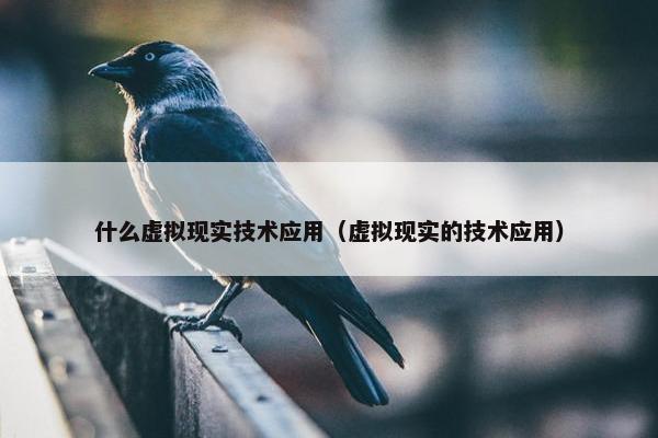 什么虚拟现实技术应用（虚拟现实的技术应用）