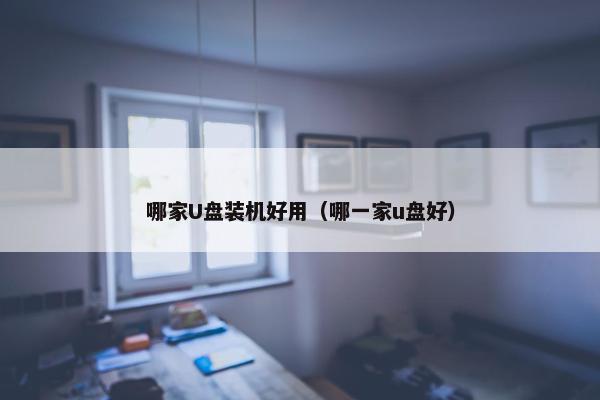 哪家U盘装机好用（哪一家u盘好）