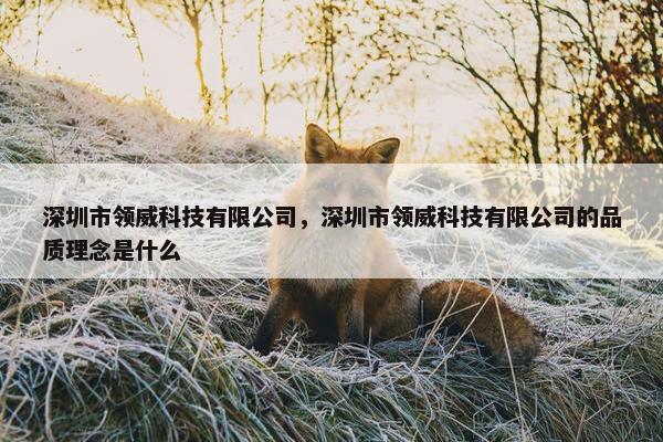 深圳市领威科技有限公司，深圳市领威科技有限公司的品质理念是什么