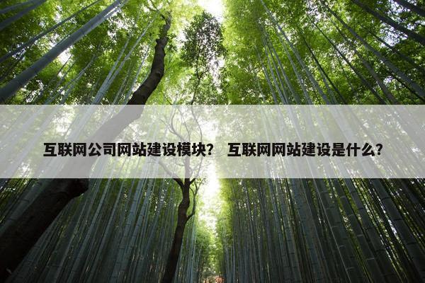 互联网公司网站建设模块？ 互联网网站建设是什么？