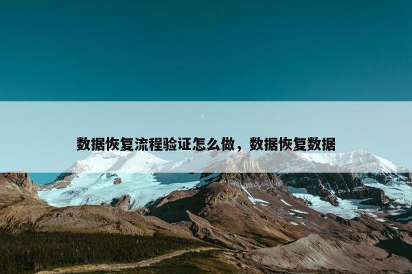 数据恢复流程验证怎么做，数据恢复数据