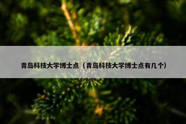青岛科技大学博士点（青岛科技大学博士点有几个）
