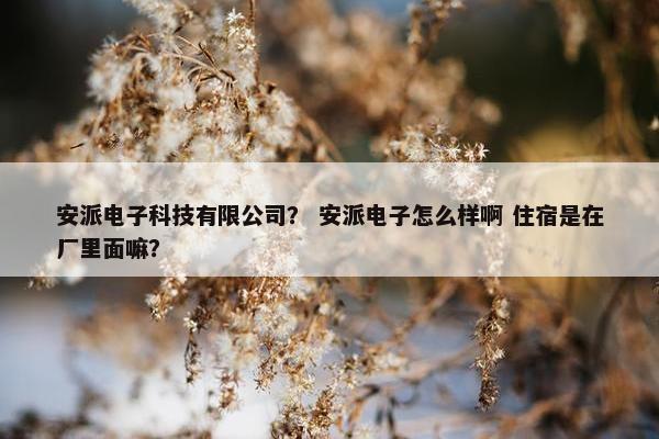 安派电子科技有限公司？ 安派电子怎么样啊 住宿是在厂里面嘛？