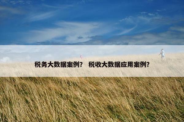 税务大数据案例？ 税收大数据应用案例？