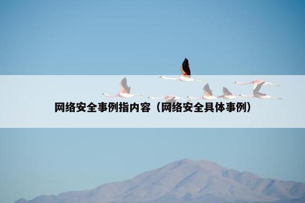 网络安全事例指内容（网络安全具体事例）