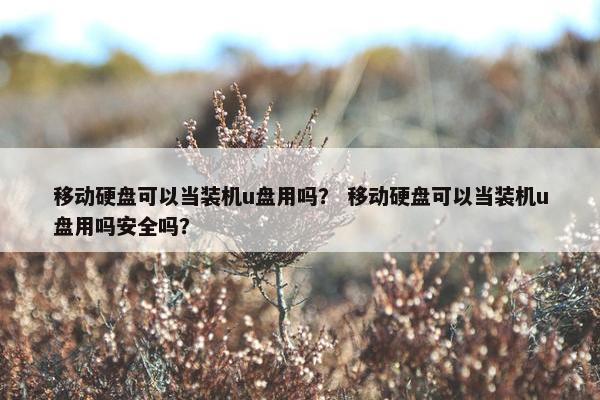 移动硬盘可以当装机u盘用吗？ 移动硬盘可以当装机u盘用吗安全吗？
