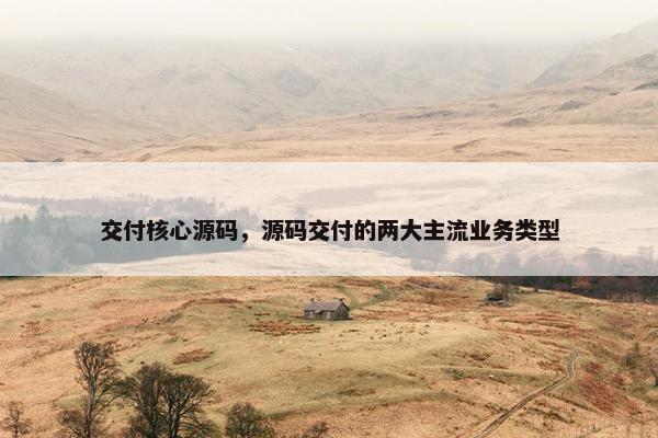 交付核心源码，源码交付的两大主流业务类型